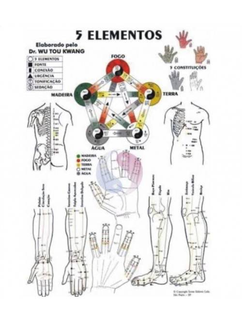 Mapa 5 Elementos (Pequeno) - NutriEvas - Especializada em Medicina  Tradicional Chinesa